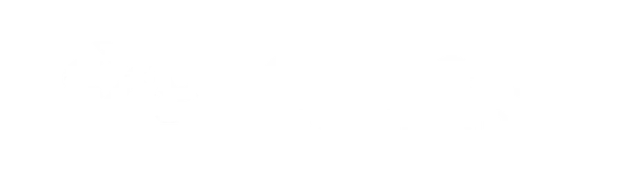 cxo partners 900x250